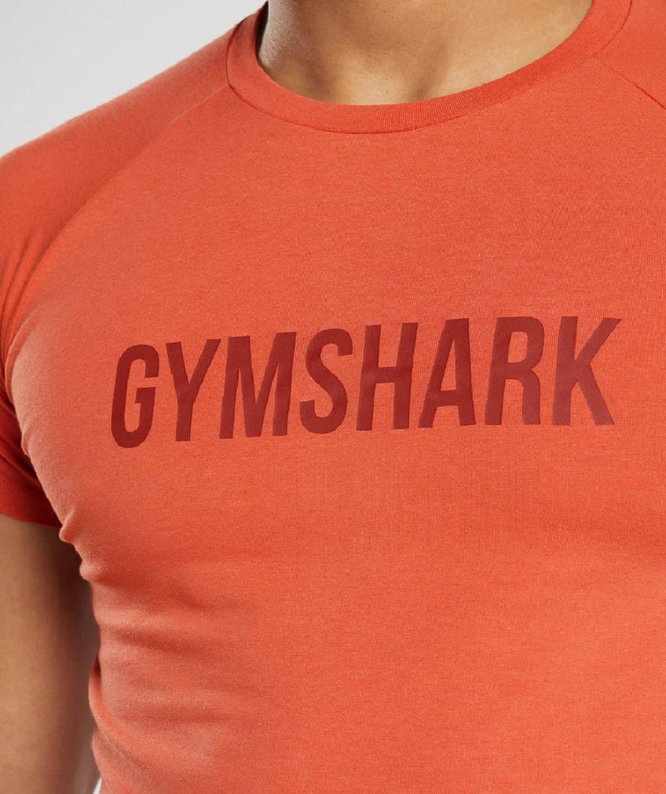 T Shirts Męskie Gymshark Apollo Czerwone | PL 3875FDN